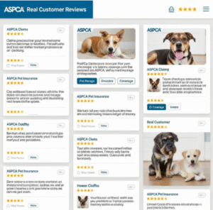 pet insurance aspca reviews